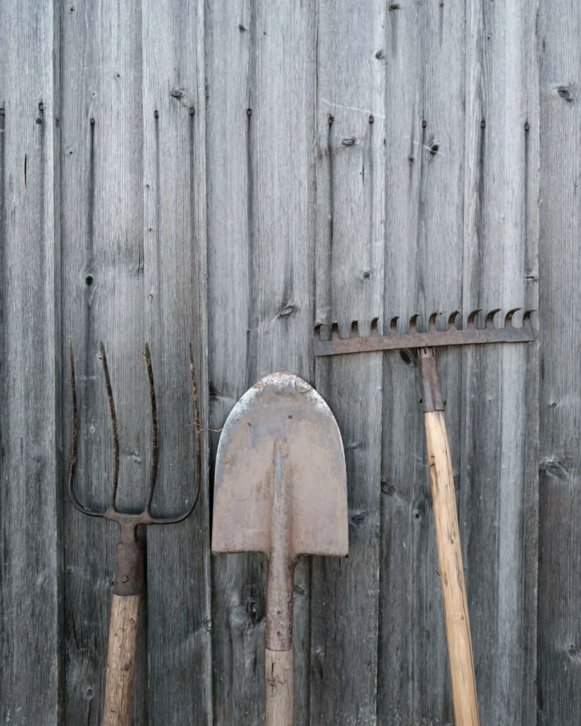 gardening tools shovel rake and pitchfork stand 2026 03 17 04 14 36 utc GnOR2DkHCbWrwIxfjrLUvvEMQ4gFJY 1