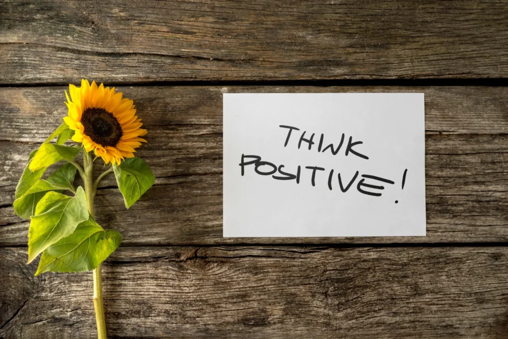 top view of sunflower lying next to a motivational 2026 03 19 01 48 54 utc OdgJFlj5OXEc01QKq740kwOgsNJ8qr