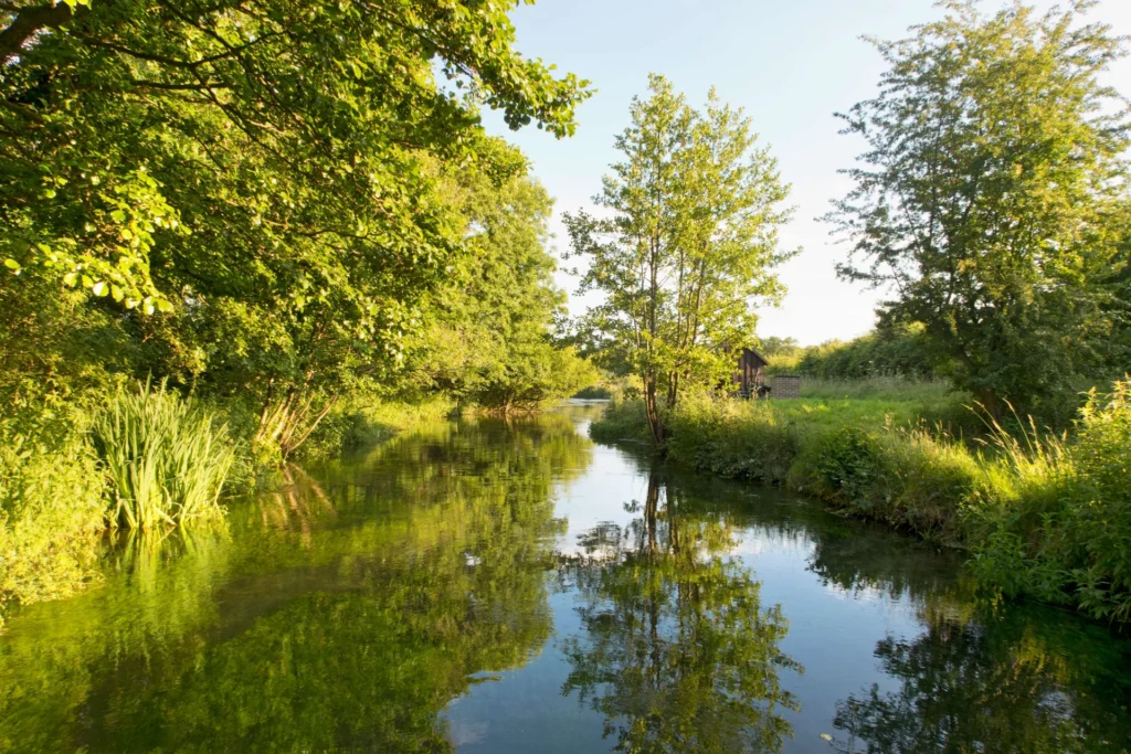 tranquil river surrounded by green trees and grass 2026 03 26 08 49 46 utc Rh7Y8jKPkfZ6kNwb8u0uarVS9wn861